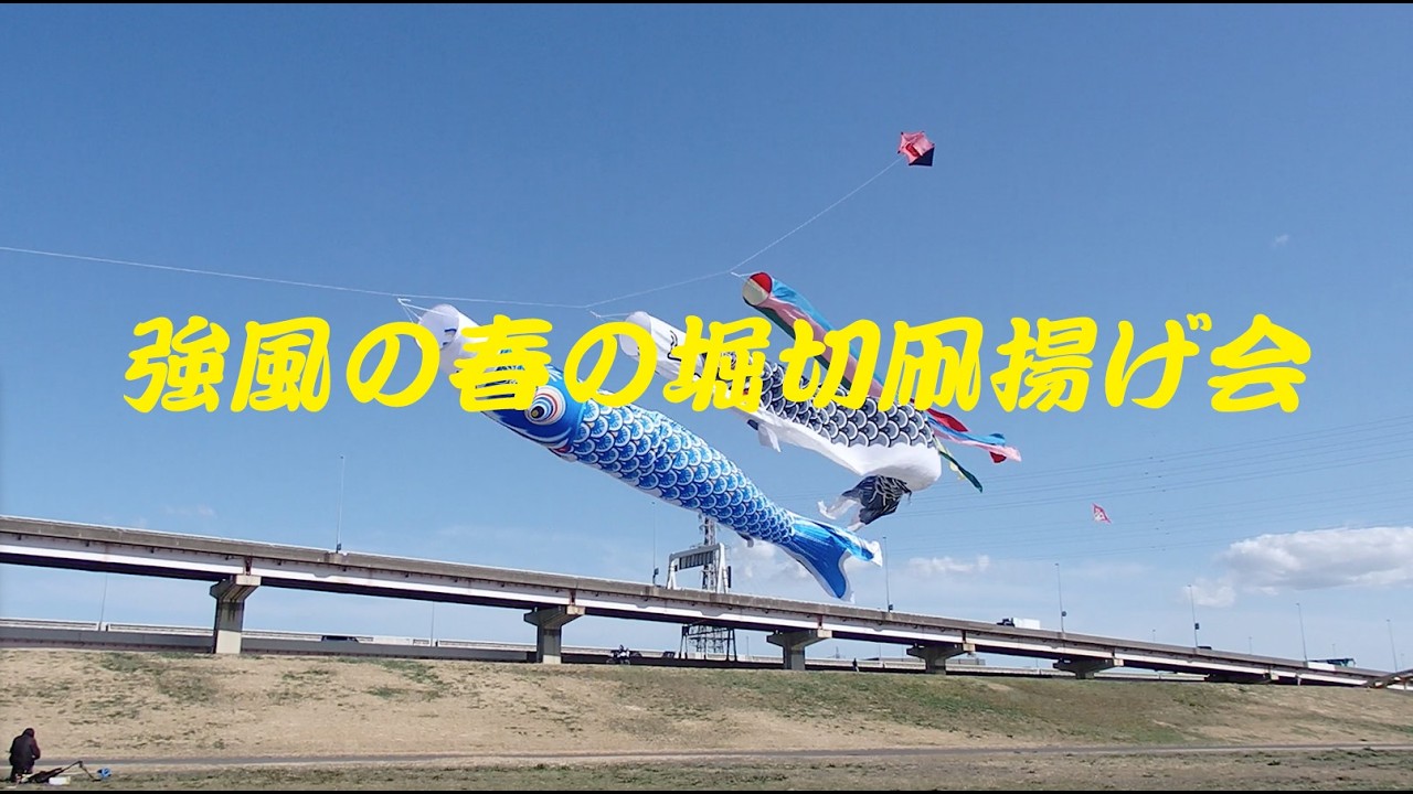 強風の春の堀切凧揚げ会