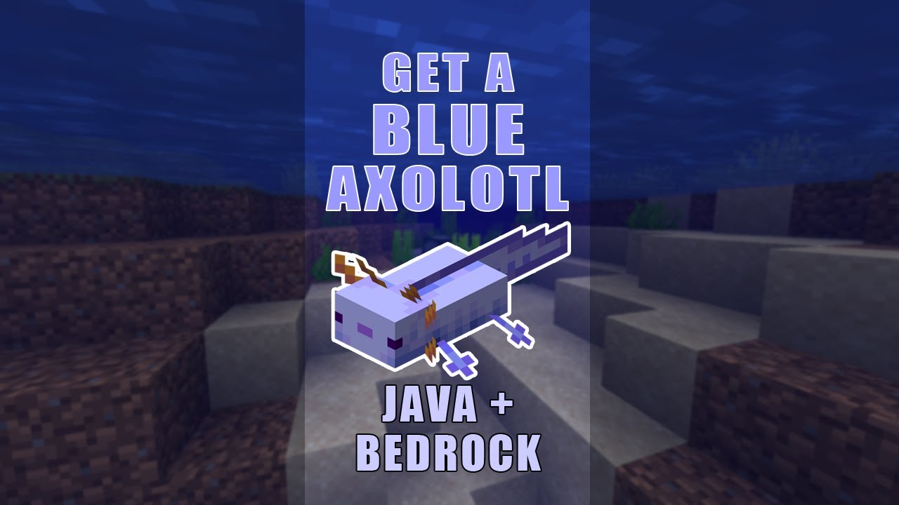 How to get blue axolotls in Minecraft 1.17 version