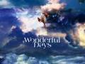 Wonderful days  theme iii