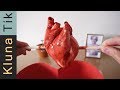 Subscriber send me her HEART for valentines day!