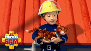 पन कभ हर नह मनत फयरमन सम - Fireman Sam करटन Hindi Cartoons