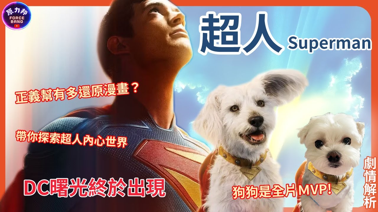 【劇情解析】超人｜Superman｜DC曙光終於出現！正義幫有多還原漫畫？帶你探索超人內心世界 狗狗是全片ＭVP！｜原力邦｜電影影評