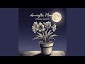 Amaryllis Moon