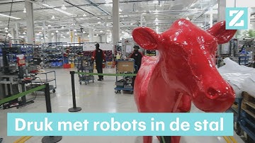 Robots in de stal maken van veeboer een data-analist