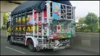 TMONE (pesona taruna) Setut selesai bongkar pasar induk kemang bogor