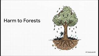 The Journey of Acid Rain