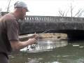 Hookset Fishing - crappie n pickerel fishing