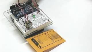 Quad Store - Circut 08