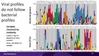 Synthetic Phage Genomes: Assembly and Rebooting