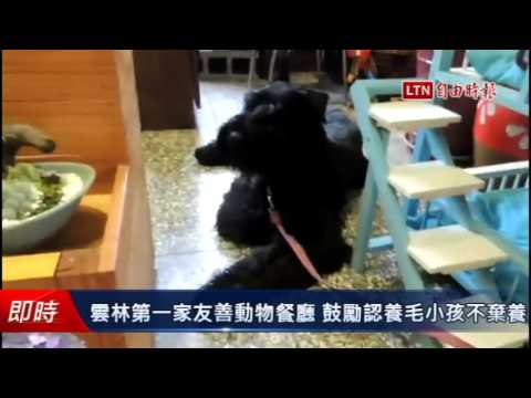 雲林第一家友善動物餐廳 鼓勵認養毛小孩不棄養 - 雲林第一家友善動物餐廳 鼓勵認養毛小孩不棄養