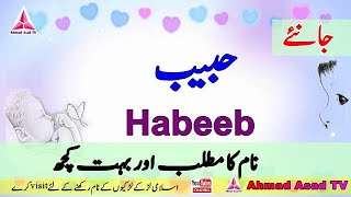 Habeeb Name Meaing in Urdu