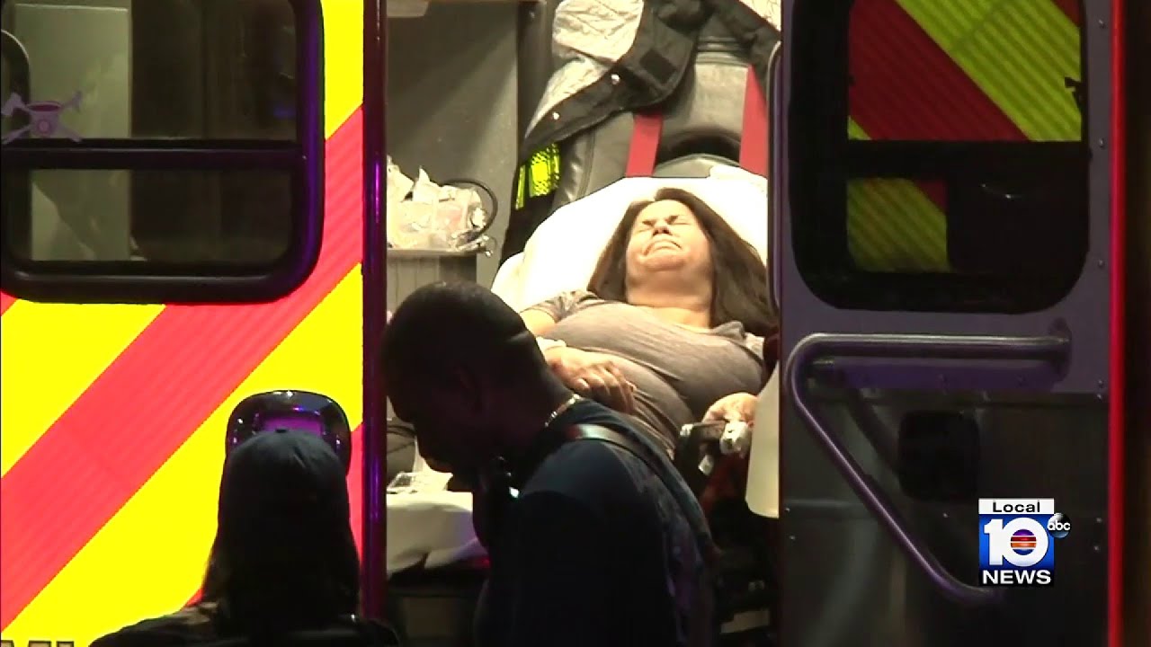 Officer shoots at dog after 53-year-old woman attacked in Miami, police ...