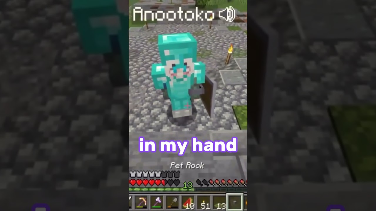 Selling pet rocks