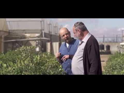 Agriculture in the Negev - Today's Desert Pioneers