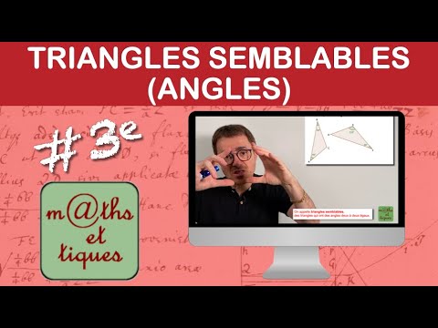 Vidéo: Quand deux triangles sont semblables ?