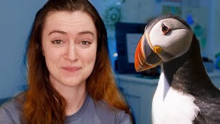 You made me write a song about puffins...