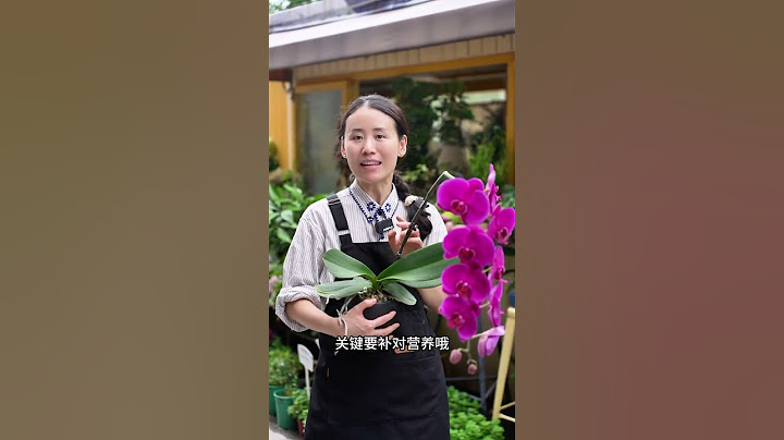 蝴蝶兰开败了别扔还能二次复花#蝴蝶兰养护 #蝴蝶兰#养花我是认真的 #养花小知识 #花卉绿植盆栽