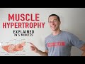 What is Muscle Hypertrophy? | Physiology and Mechanisms of Muscle Growth in 5 minutes!