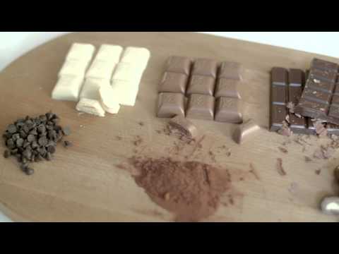 วีดีโอ: สุนัขของฉันกินช็อกโกแลต … ฉันควรทำอย่างไร?