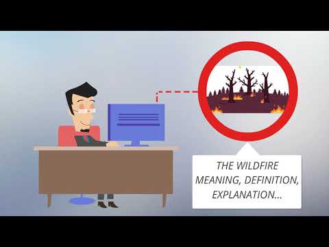 What Is WILDFIRE? WILDFIRE Definition & Meaning
