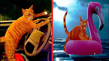 TENGO QUE BUSCAR A MI GATO DROGADICTO  |  Nip for speed 2