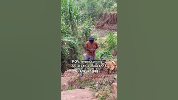 Please don’t scroll #shortsvideo #rescuedog #adoptstrays #dogfood #shortsviral #shorts #help