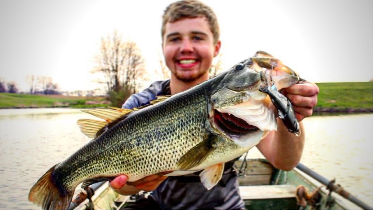 GIANT Bass Caught on BIG Swimbait Glide Bait! YouTube