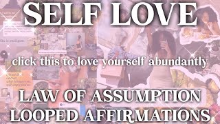 Self Love, Acceptance to Attract Amazing People: LOOPED Manifestation Affirmations ?