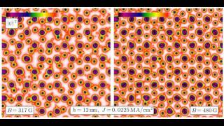 Vortex dynamics in hexagonal pinscape, B = 317, 480 G, J = 0.0225 MA/cm^2, h = 12 nm