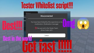 Tester Whitelist script  Net Worth