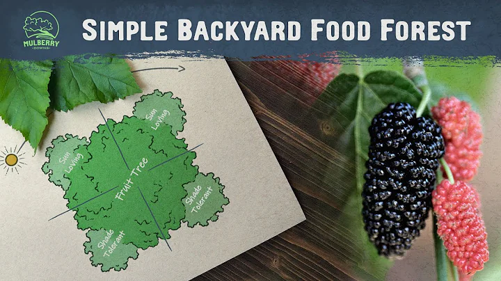 Easy Food Forest for Small Yards: Start with Just 5 Plants