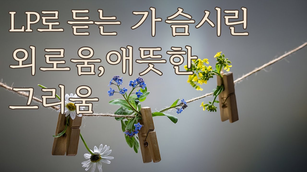 LP로 듣는 가슴 시린 외로움, 애뜻한 그리움 Vol . 2 💗 사랑이 떠난 자리, 말하지 못했던 외로움 / 시간이 지나도 잊히지 않는 그리움. 7080 가요