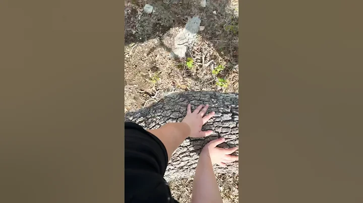 ⚠️: may cause unwanted shifts!!! #quadrobist #therianthropy #therian #antizoo