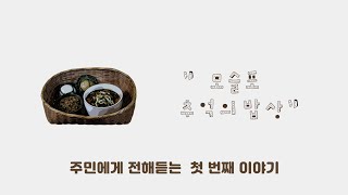[모슬포 리빙랩] #1 추억의 밥상 | 모슬포에서 나고 자란 여성들이 말하는 추억의 음식 이야기