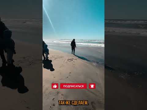 рабочий способ попасть