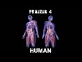 Phaezek 4 - Human (Rock Cover)
