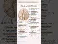 Nervous system | Cranial nerves #biology #neet