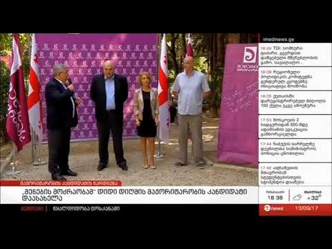შორენა ბუხრაშვილის წარდგენა დიდი დიღმის მე-4 ოლქში