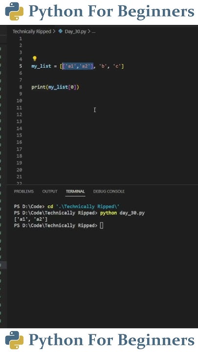 How To Index A List Inside A List | Python For Beginners - YouTube