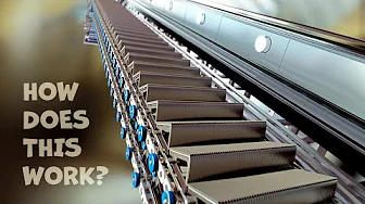What’s Inside an Escalator?