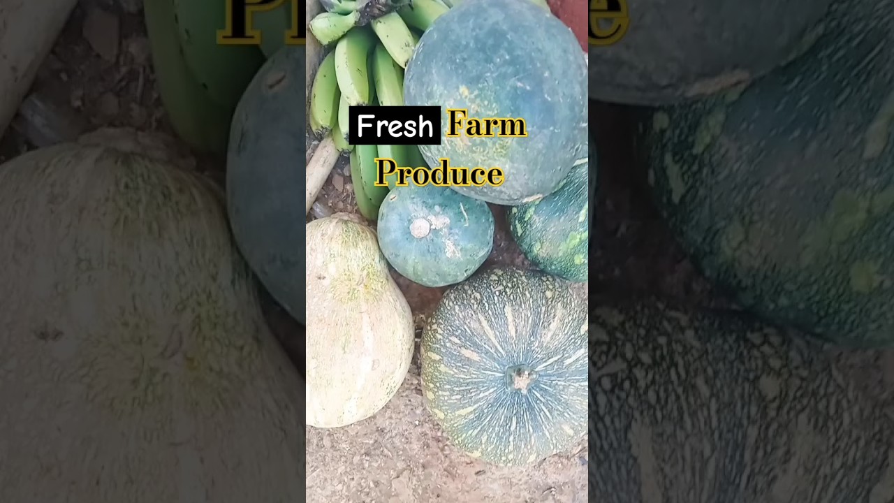Farm Fresh Produce Delivered | Local Farm to Table Experience | Harvest Route USA  