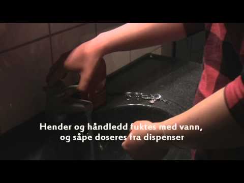 Video: Hvordan Vaske En Papegøyes Bur