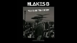 DJ Lakes B - Tears Of Tomorrow (Visualizer)