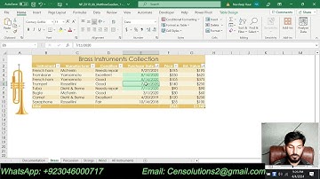 Excel Module 6 SAM Project B Sato Instrument Collection | Excel Module 6 SAM Project 1b