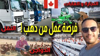 الهجرة الى كندا احصل على عقد عمل بالمجان - CONTRAT DE TRAVAIL CANADA @tariknajahcanadal1202​