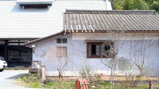 【山梨 Trip】自然に囲まれたカフェが素敵すぎた、、｜静岡・山梨のお花見スポットを巡る旅🌸