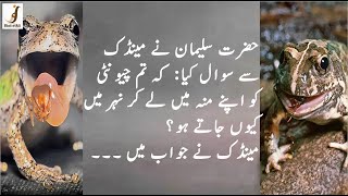 Hazrat Suleman ka ek waqaya || Ant and Frog story || heart touching story #Noorbinteali