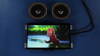 In-Depth Overview: 10.1 HDMI TFT Display Modules