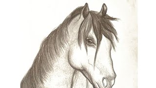 How to draw a horse head easy | Horse drawing simple easy