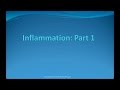 Inflammation Part 1 (HD)